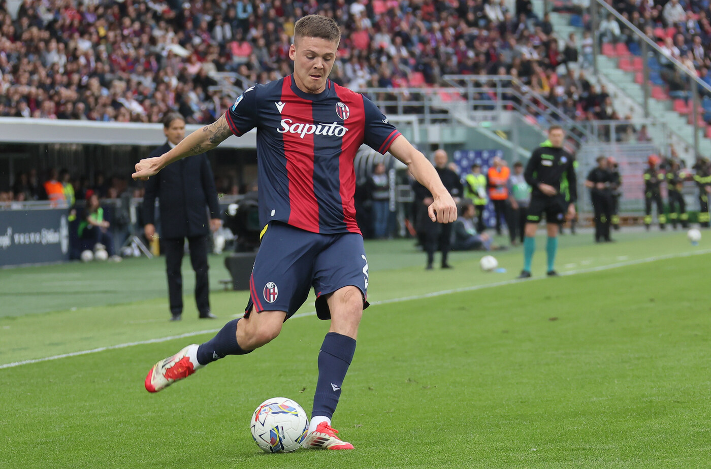 Holm Bologna